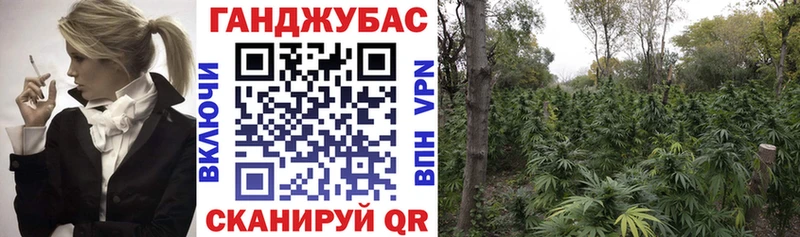 гидра сайт  Черепаново  МАРИХУАНА ГИДРОПОН 